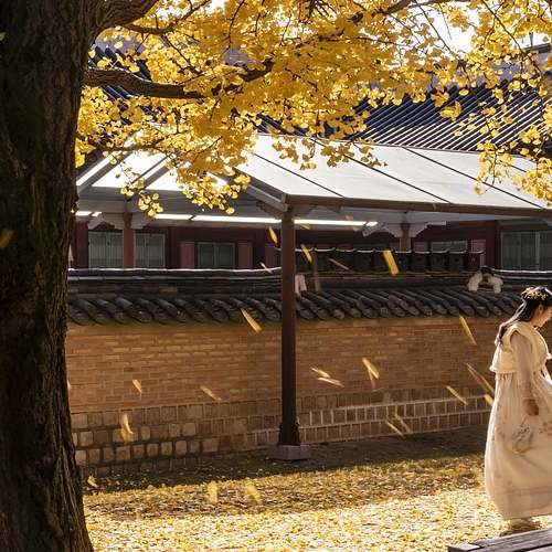 2024년 사회복지시설 관리: 모든 것을 알고 싶다면! 2024년 사회복지시설 관리: 모든 것을 알고 싶다면!