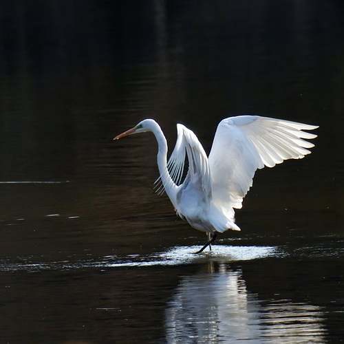 개인연금과 IRP 세액공제, 절세 혜택을 놓치지 마세요! 개인연금과 IRP 세액공제, 절세 혜택을 놓치지 마세요!