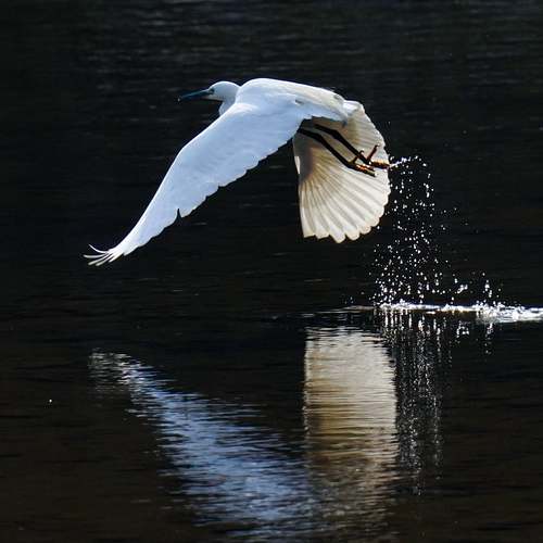판타지 법정 드라마 ‘노무사 노무진’ – 노동의 진실을 파헤치다! 판타지 법정 드라마 ‘노무사 노무진’ – 노동의 진실을 파헤치다!