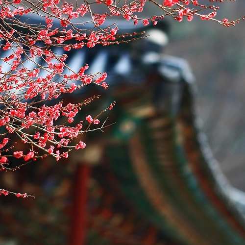 KB 부동산 시세조회: 실거래 확인을 통해 집값 파악하기 KB 부동산 시세조회: 실거래 확인을 통해 집값 파악하기