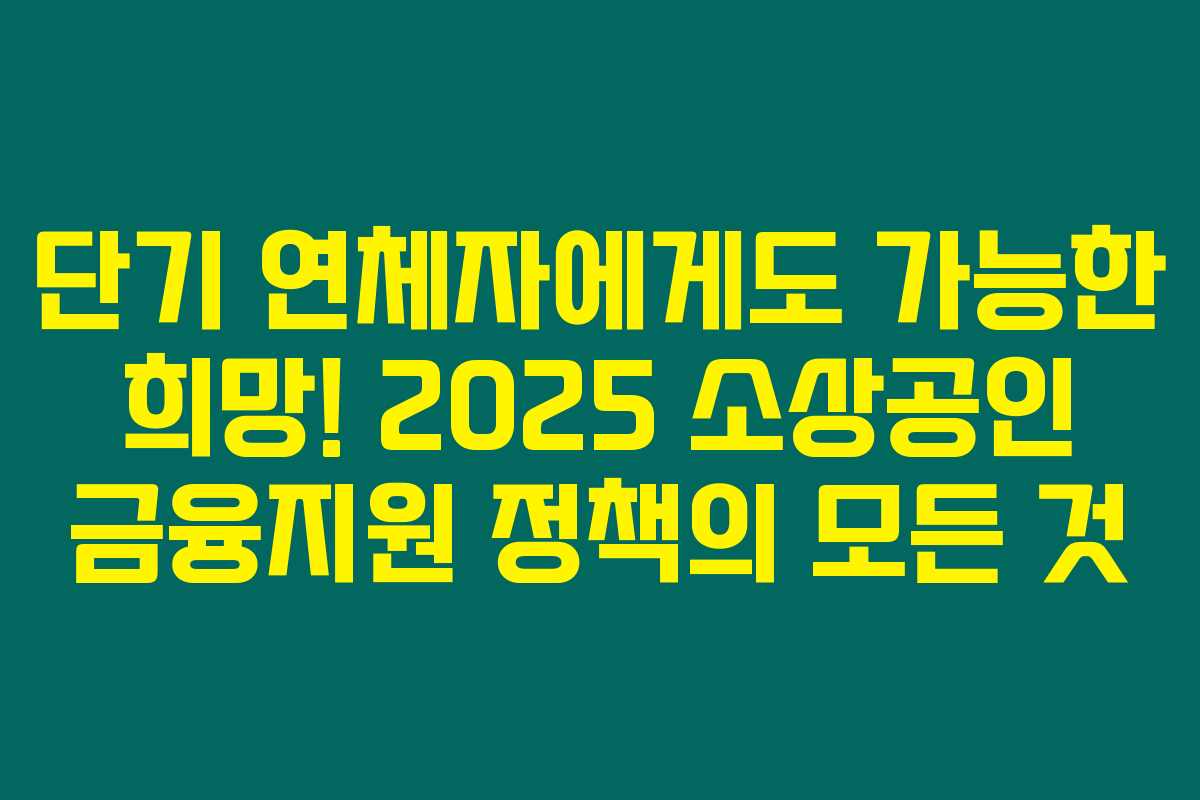 단기 연체자에게도 가능한 희망! 2025 소상공인 금융지원 정책의 모든 것 단기 연체자에게도 가능한 희망! 2025 소상공인 금융지원 정책의 모든 것