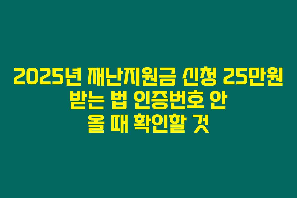 2025년 재난지원금 신청 25만원 받는 법 인증번호 안 올 때 확인할 것