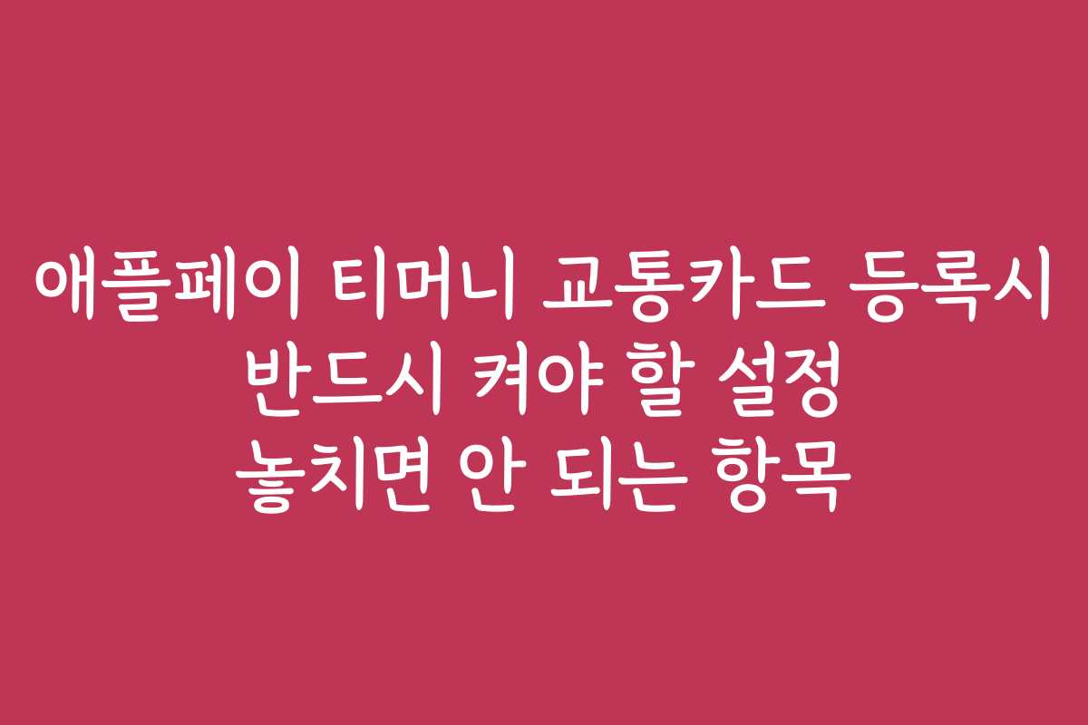 애플페이 티머니 교통카드 등록시 반드시 켜야 할 설정 놓치면 안 되는 항목