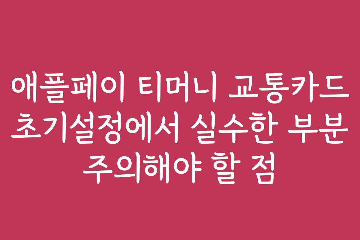 애플페이 티머니 교통카드 초기설정에서 실수한 부분 주의해야 할 점