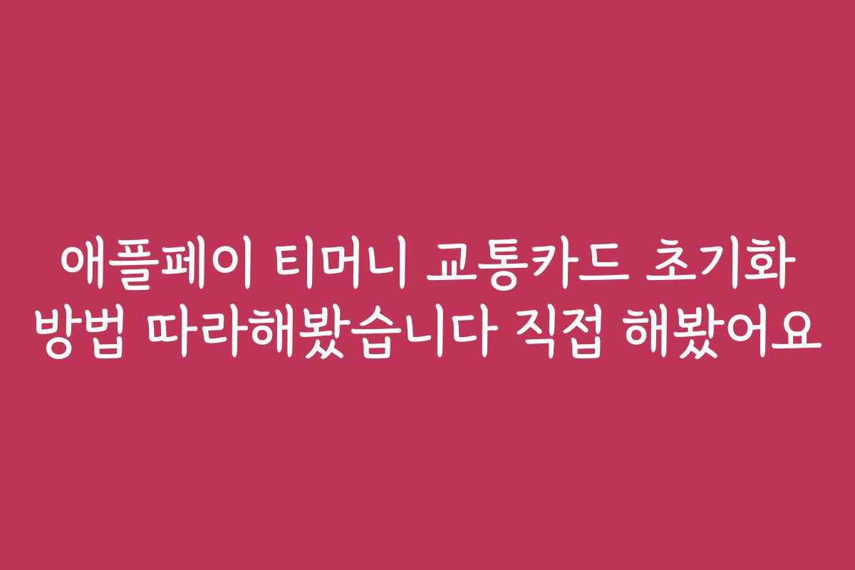 애플페이 티머니 교통카드 초기화 방법 따라해봤습니다 직접 해봤어요