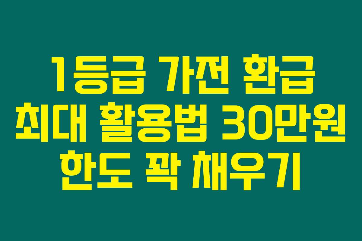 1등급 가전 환급 최대 활용법 30만원 한도 꽉 채우기