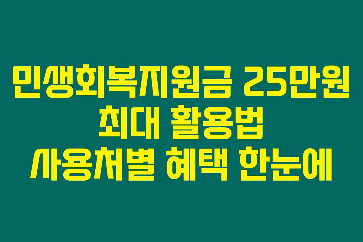 민생회복지원금 25만원 최대 활용법 사용처별 혜택 한눈에 민생회복지원금 25만원 최대 활용법 사용처별 혜택 한눈에