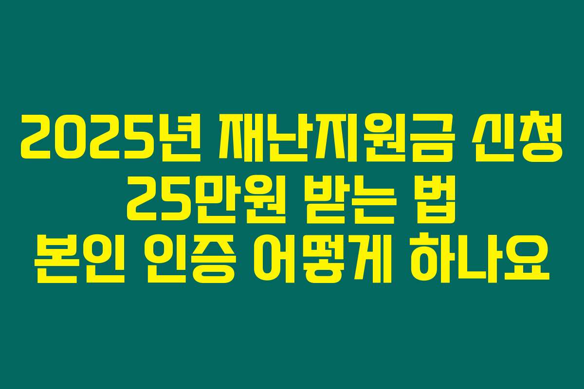 2025년 재난지원금 신청 25만원 받는 법 본인 인증 어떻게 하나요