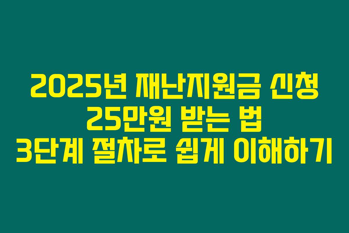 2025년 재난지원금 신청 25만원 받는 법 3단계 절차로 쉽게 이해하기