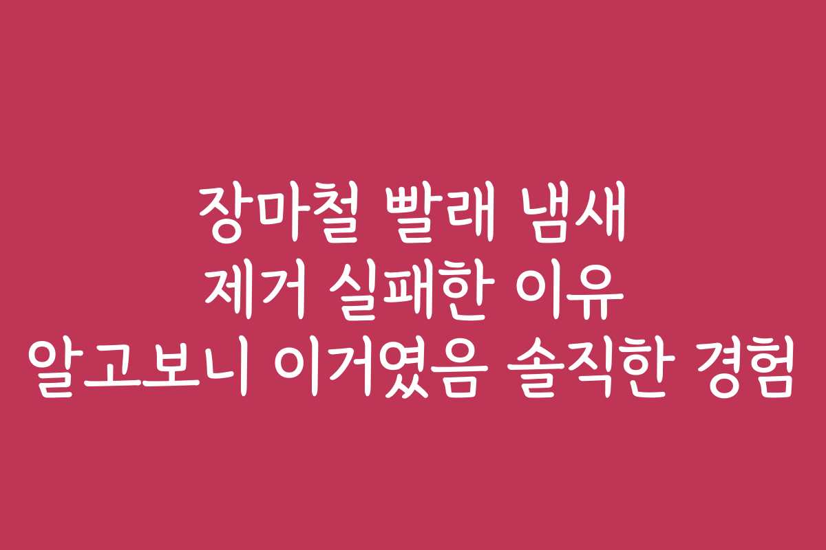 장마철 빨래 냄새 제거 실패한 이유 알고보니 이거였음 솔직한 경험