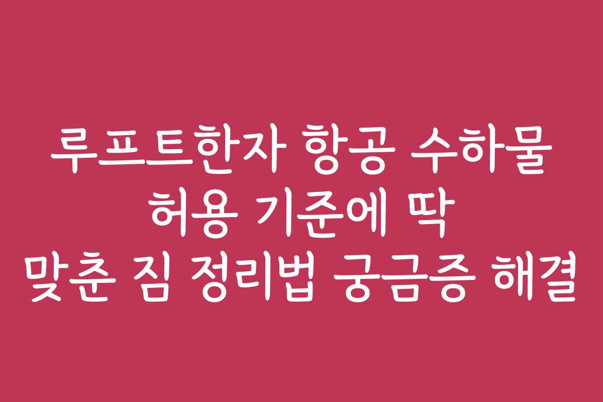 루프트한자 항공 수하물 허용 기준에 딱 맞춘 짐 정리법 궁금증 해결 루프트한자 항공 수하물 허용 기준에 딱 맞춘 짐 정리법 궁금증 해결