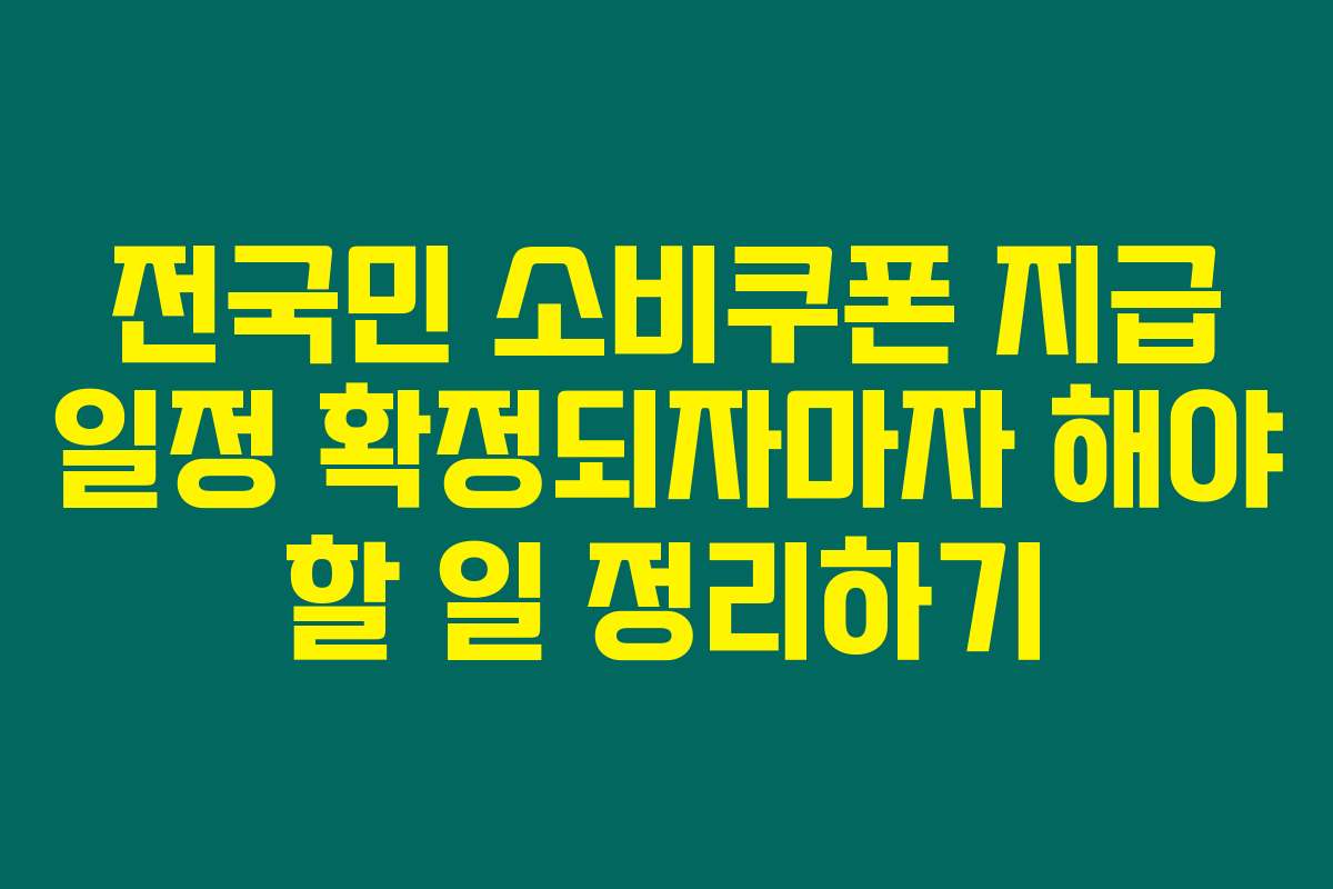 전국민 소비쿠폰 지급 일정 확정되자마자 해야 할 일 정리하기