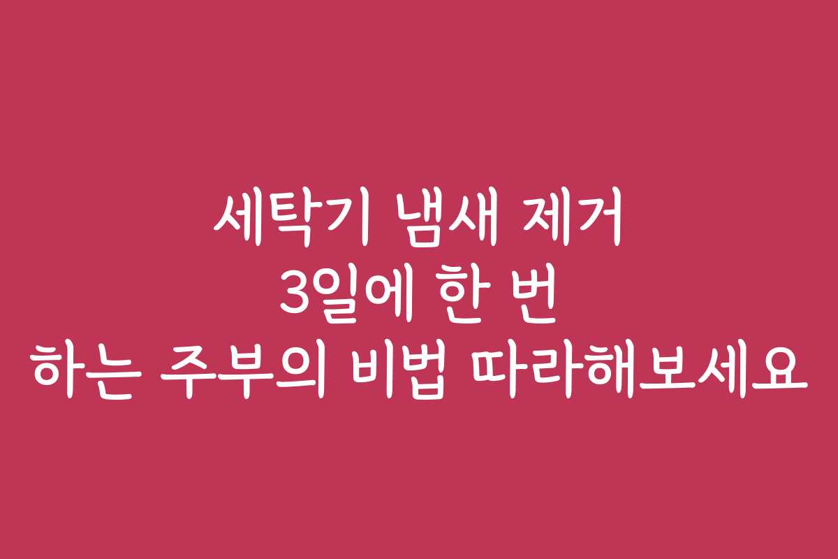 세탁기 냄새 제거 3일에 한 번 하는 주부의 비법 따라해보세요