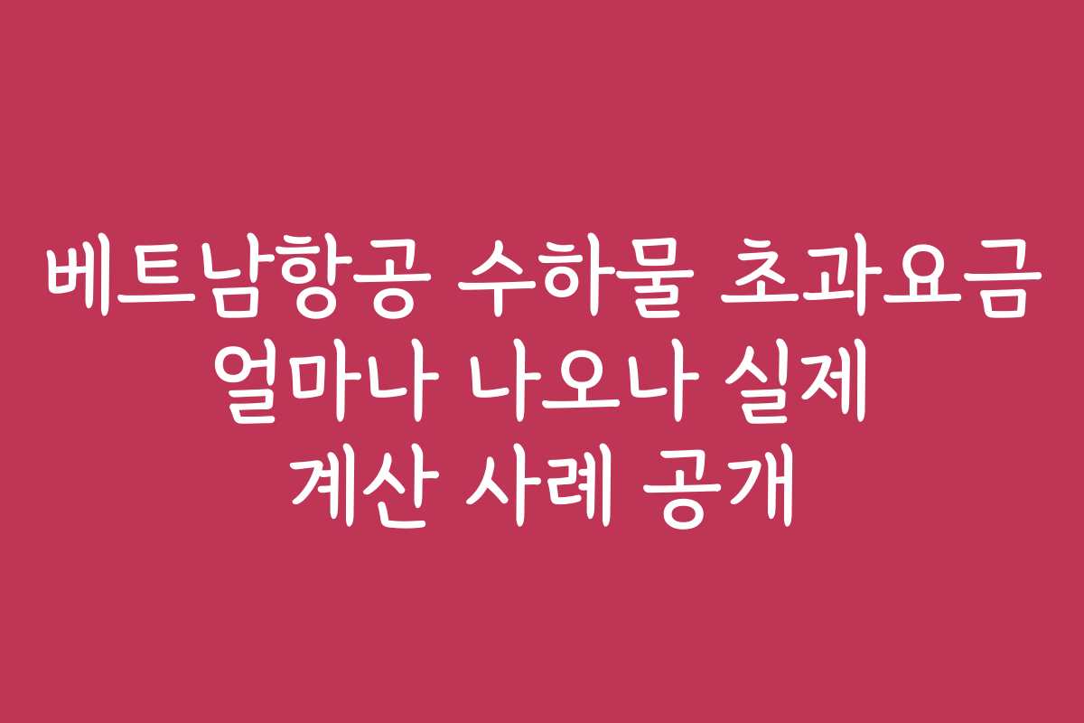 베트남항공 수하물 초과요금 얼마나 나오나 실제 계산 사례 공개