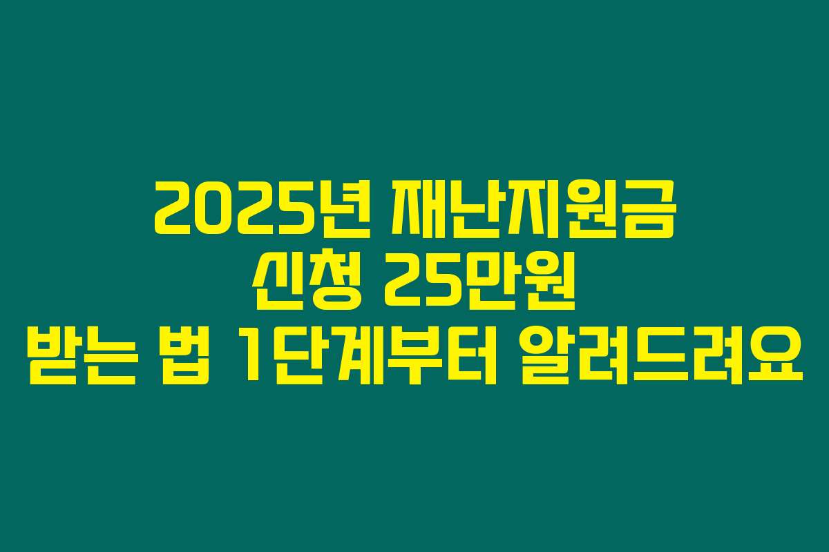 2025년 재난지원금 신청 25만원 받는 법 1단계부터 알려드려요