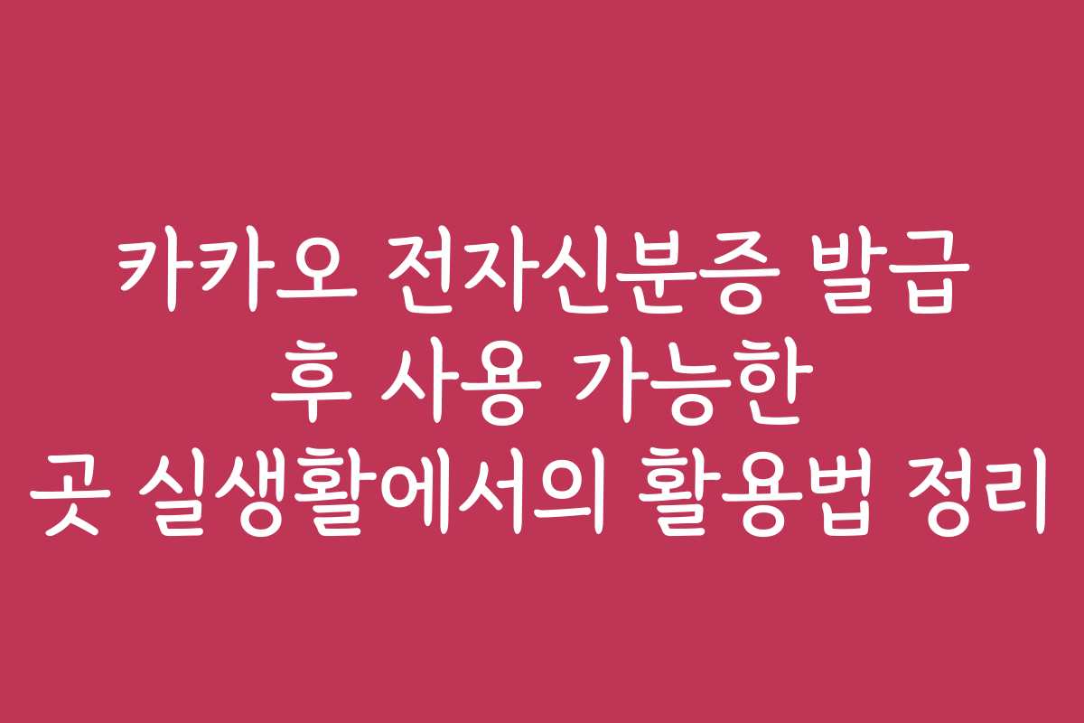 카카오 전자신분증 발급 후 사용 가능한 곳 실생활에서의 활용법 정리