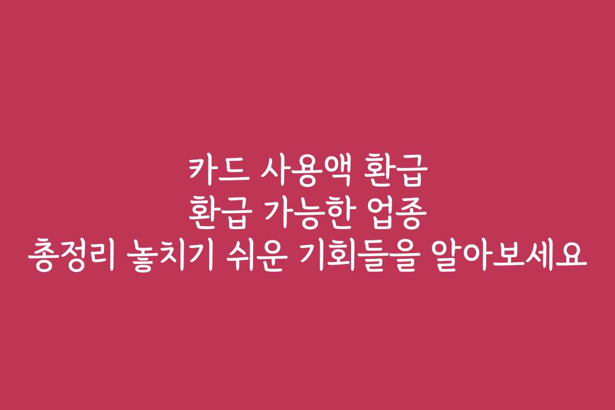 카드 사용액 환급 환급 가능한 업종 총정리 놓치기 쉬운 기회들을 알아보세요