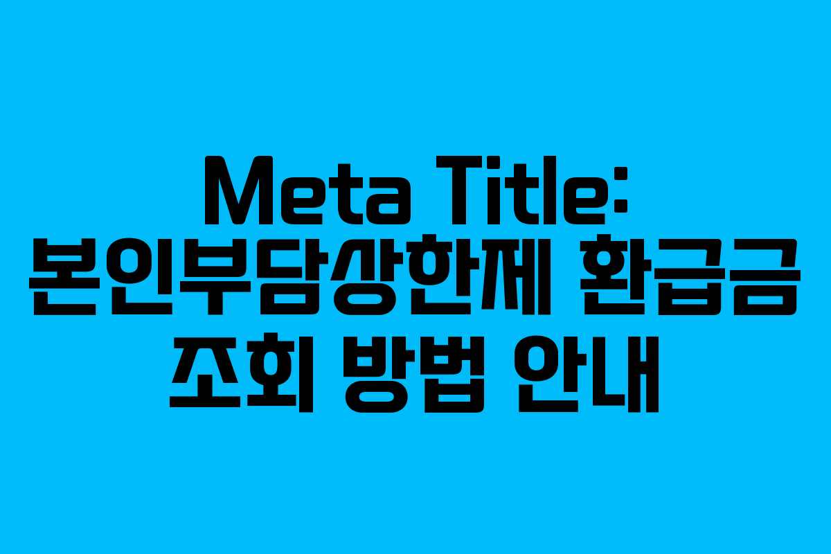 Meta Title: 본인부담상한제 환급금 조회 방법 안내