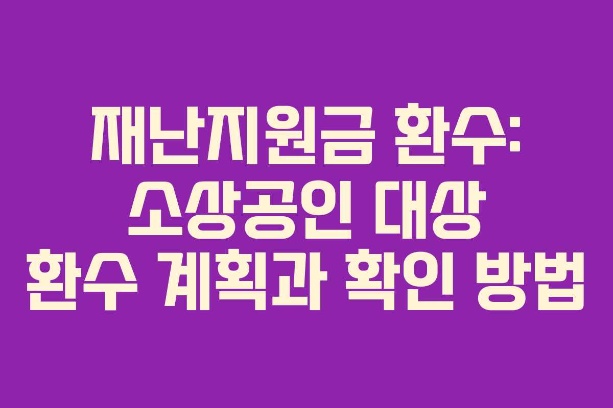 재난지원금 환수: 소상공인 대상 환수 계획과 확인 방법
