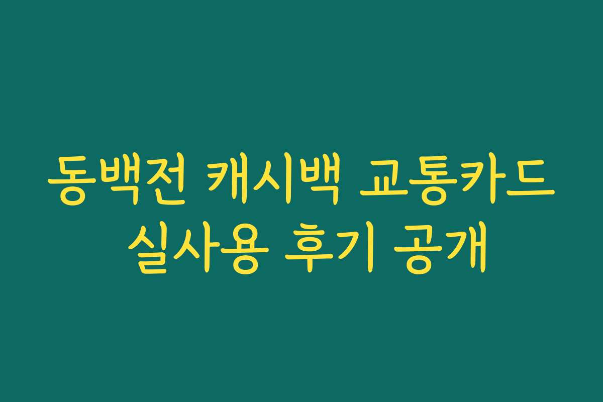 동백전 캐시백 교통카드 실사용 후기 공개 동백전 캐시백 교통카드 실사용 후기 공개