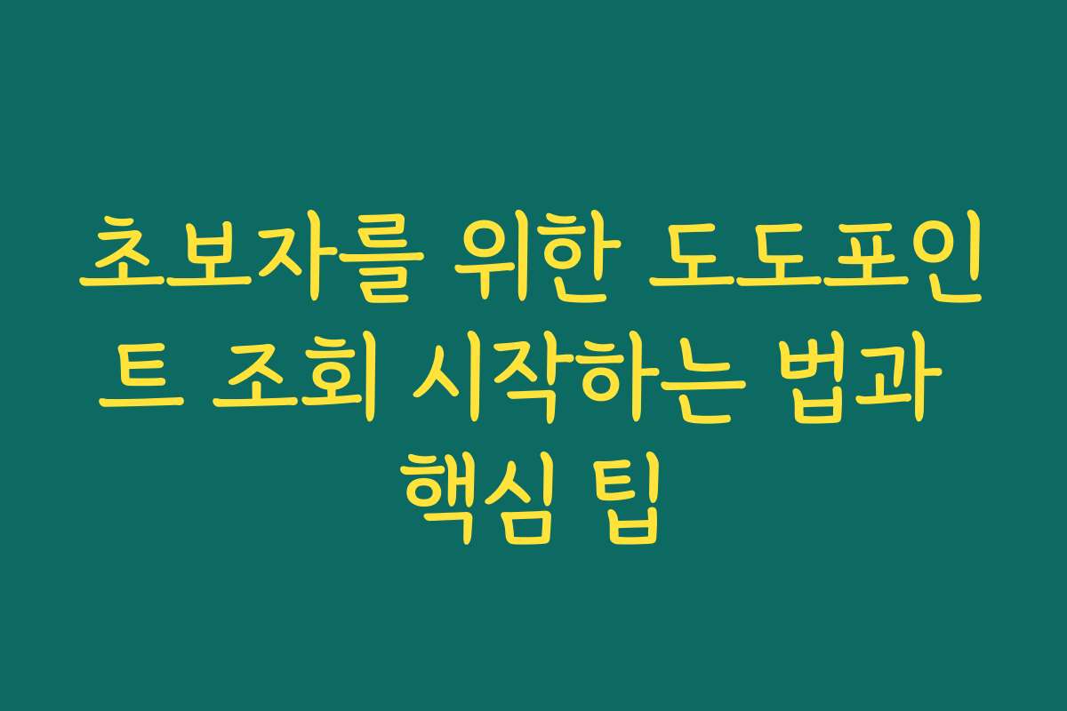 초보자를 위한 도도포인트 조회 시작하는 법과 핵심 팁