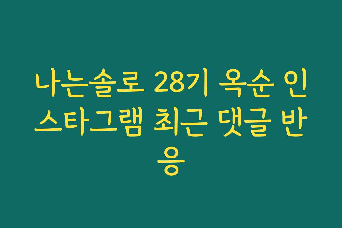 나는솔로 28기 옥순 인스타그램 최근 댓글 반응