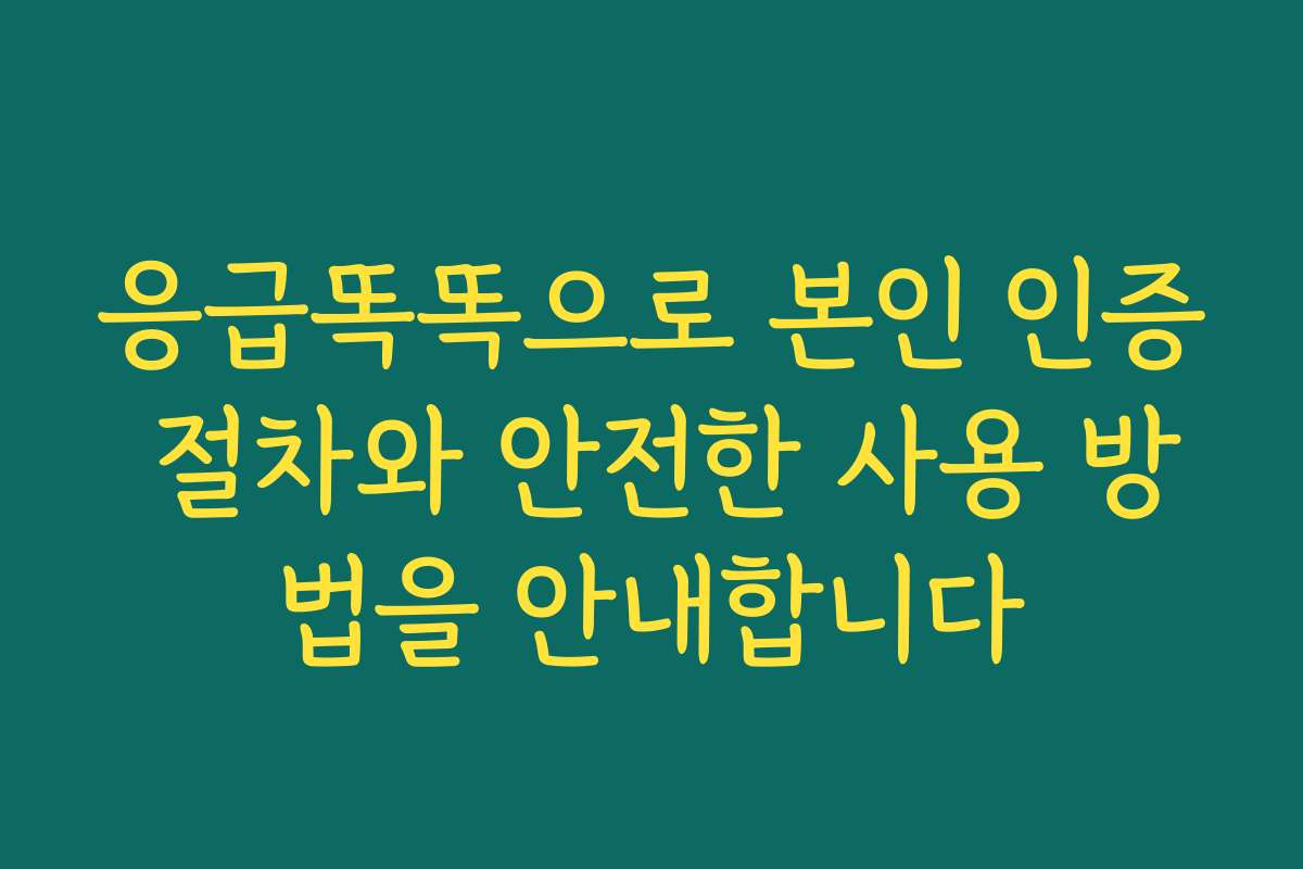 응급똑똑으로 본인 인증 절차와 안전한 사용 방법을 안내합니다
