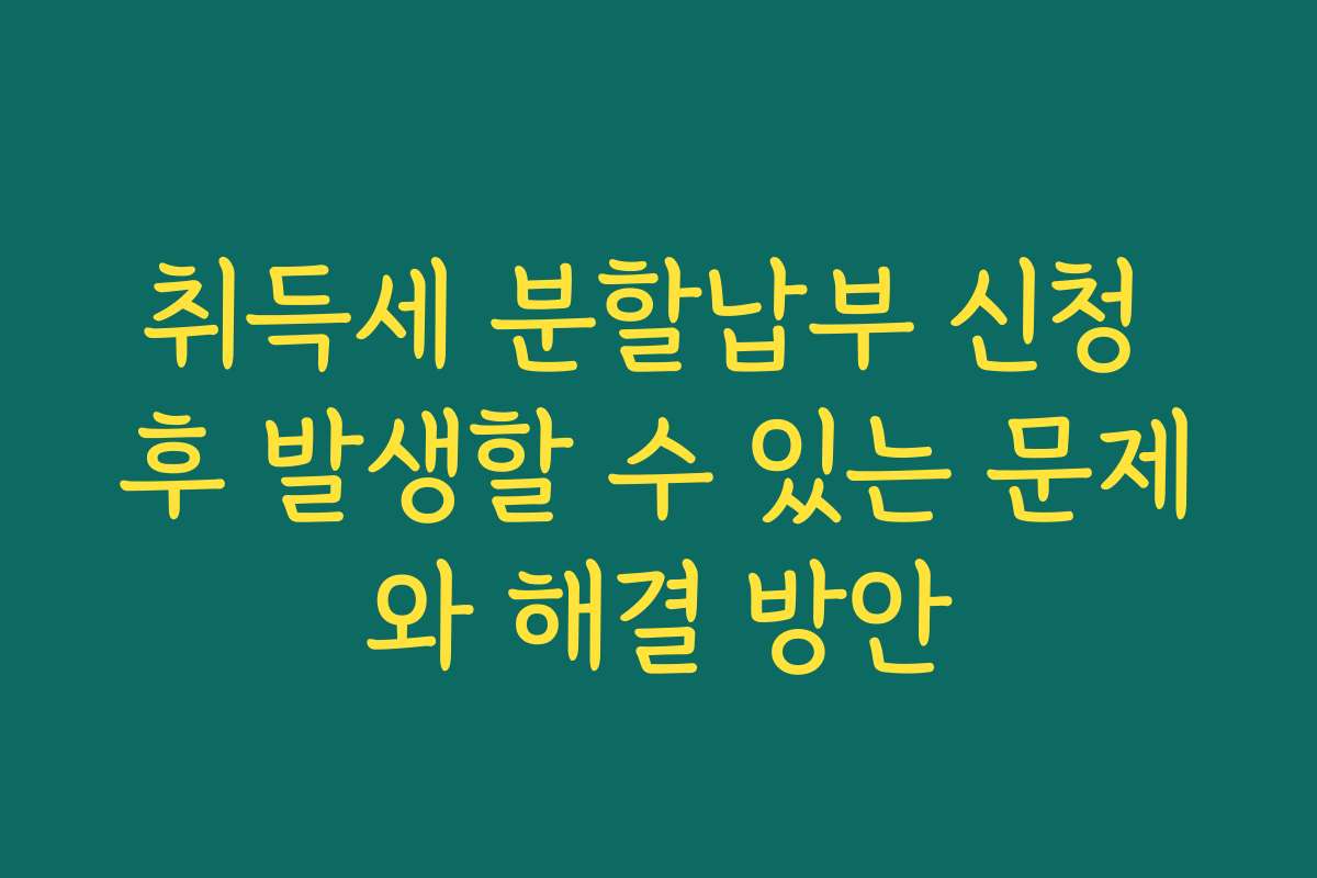 취득세 분할납부 신청 후 발생할 수 있는 문제와 해결 방안