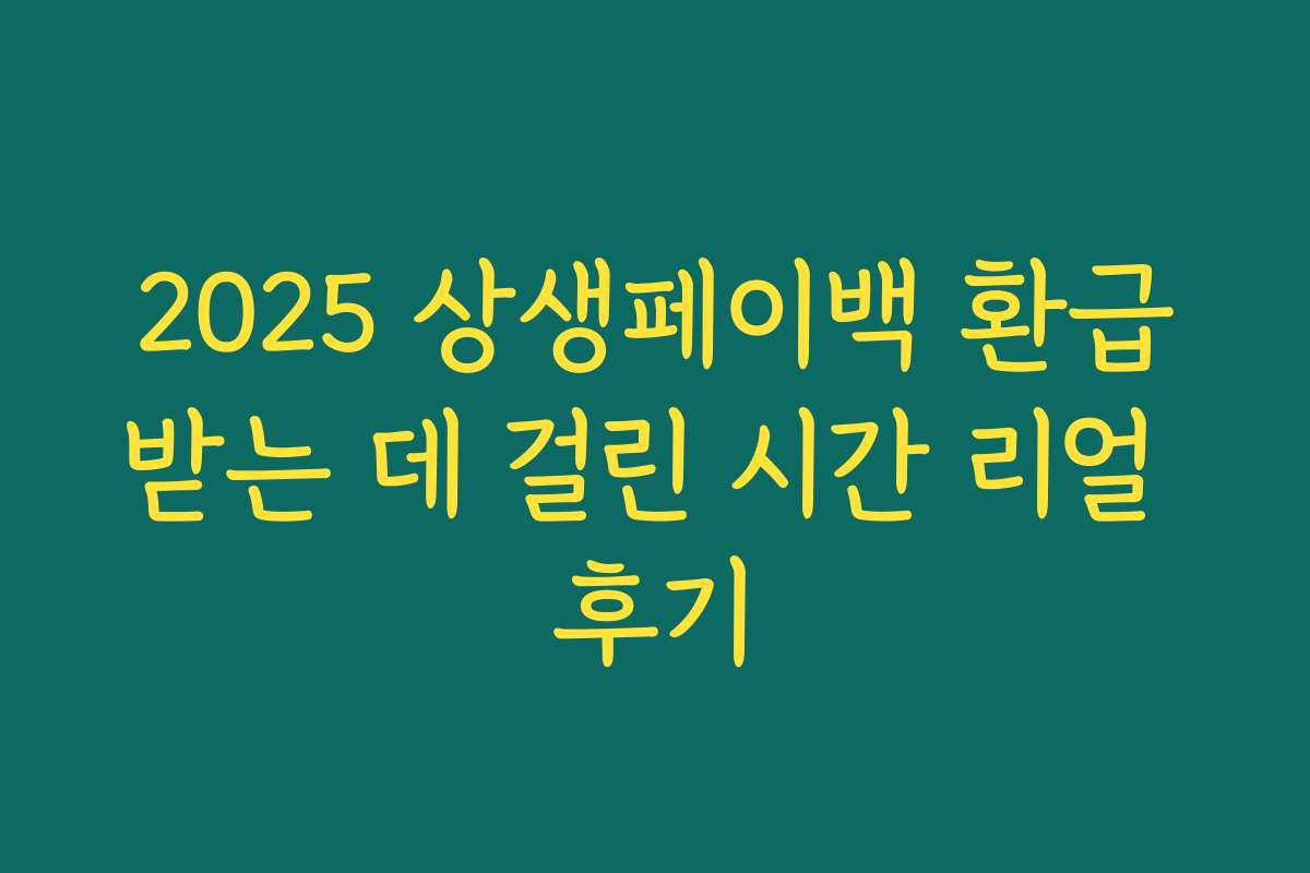 2025 상생페이백 환급받는 데 걸린 시간 리얼 후기 2025 상생페이백 환급받는 데 걸린 시간 리얼 후기