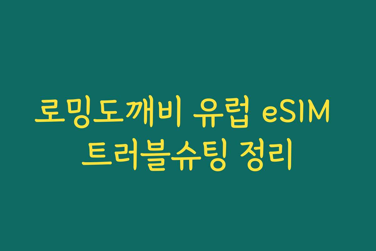 로밍도깨비 유럽 eSIM 트러블슈팅 정리
