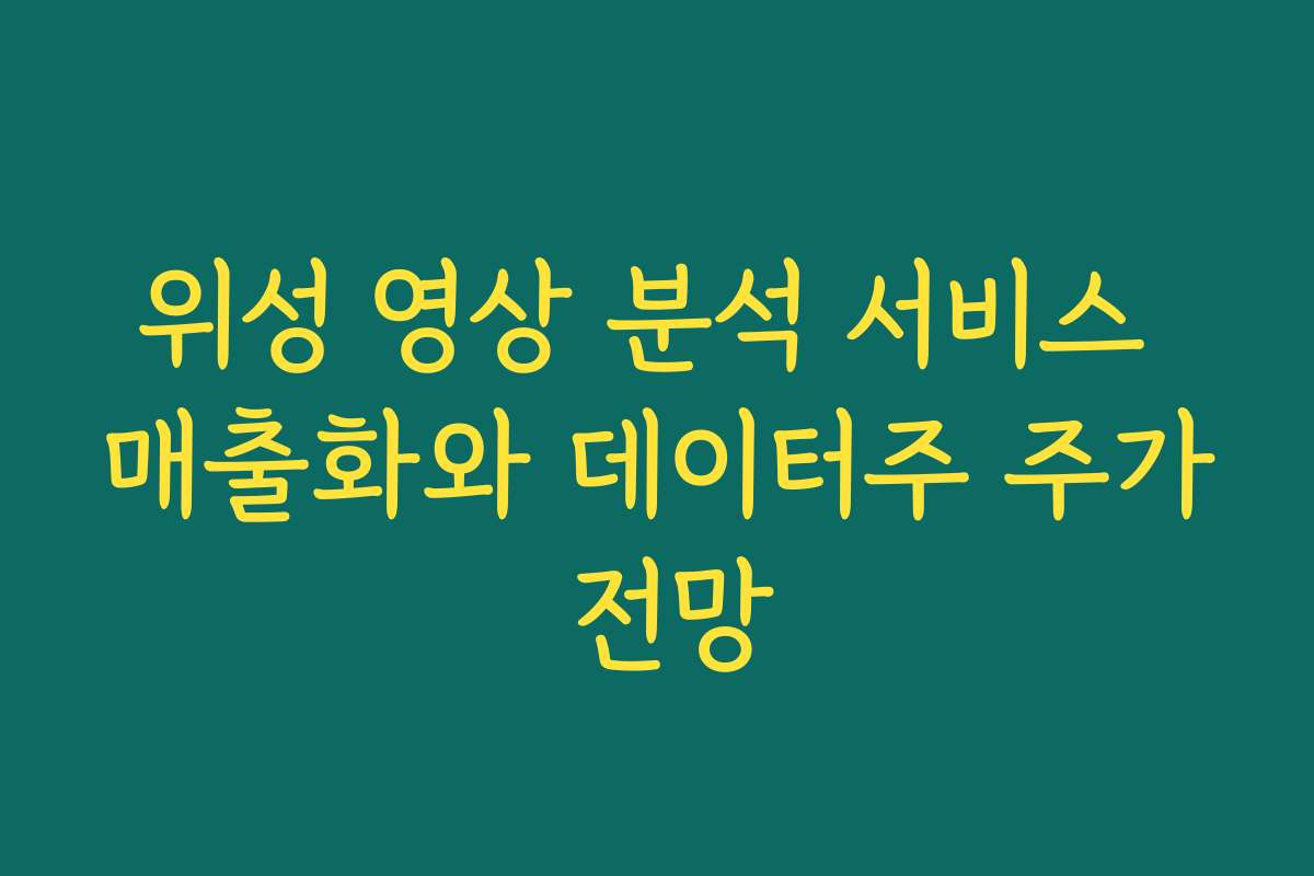 위성 영상 분석 서비스 매출화와 데이터주 주가 전망 위성 영상 분석 서비스 매출화와 데이터주 주가 전망
