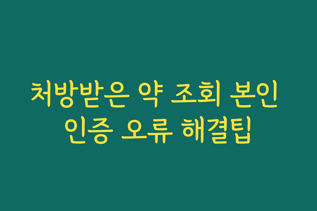 처방받은 약 조회 본인 인증 오류 해결팁 처방받은 약 조회 본인 인증 오류 해결팁