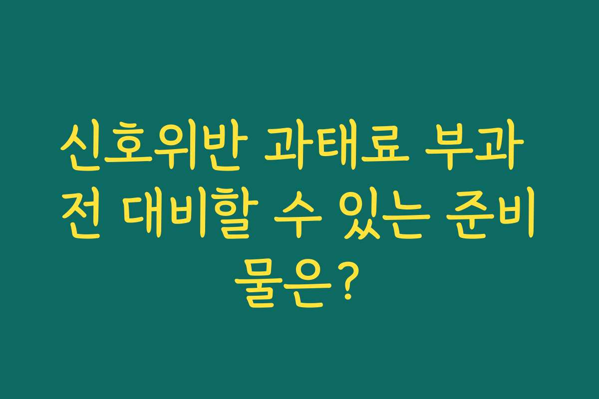 신호위반 과태료 부과 전 대비할 수 있는 준비물은?