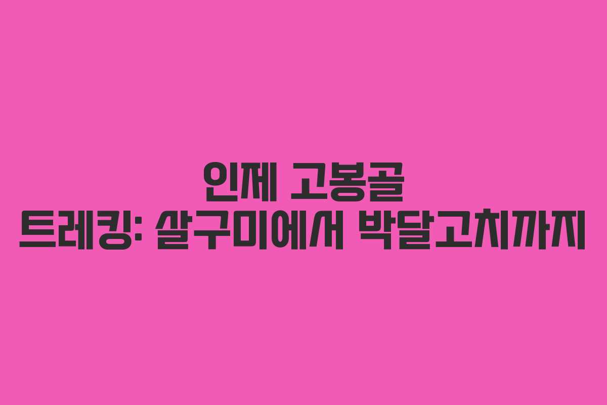 인제 고봉골 트레킹: 살구미에서 박달고치까지