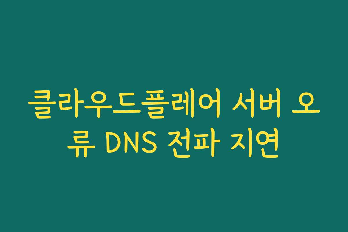 클라우드플레어 서버 오류 DNS 전파 지연