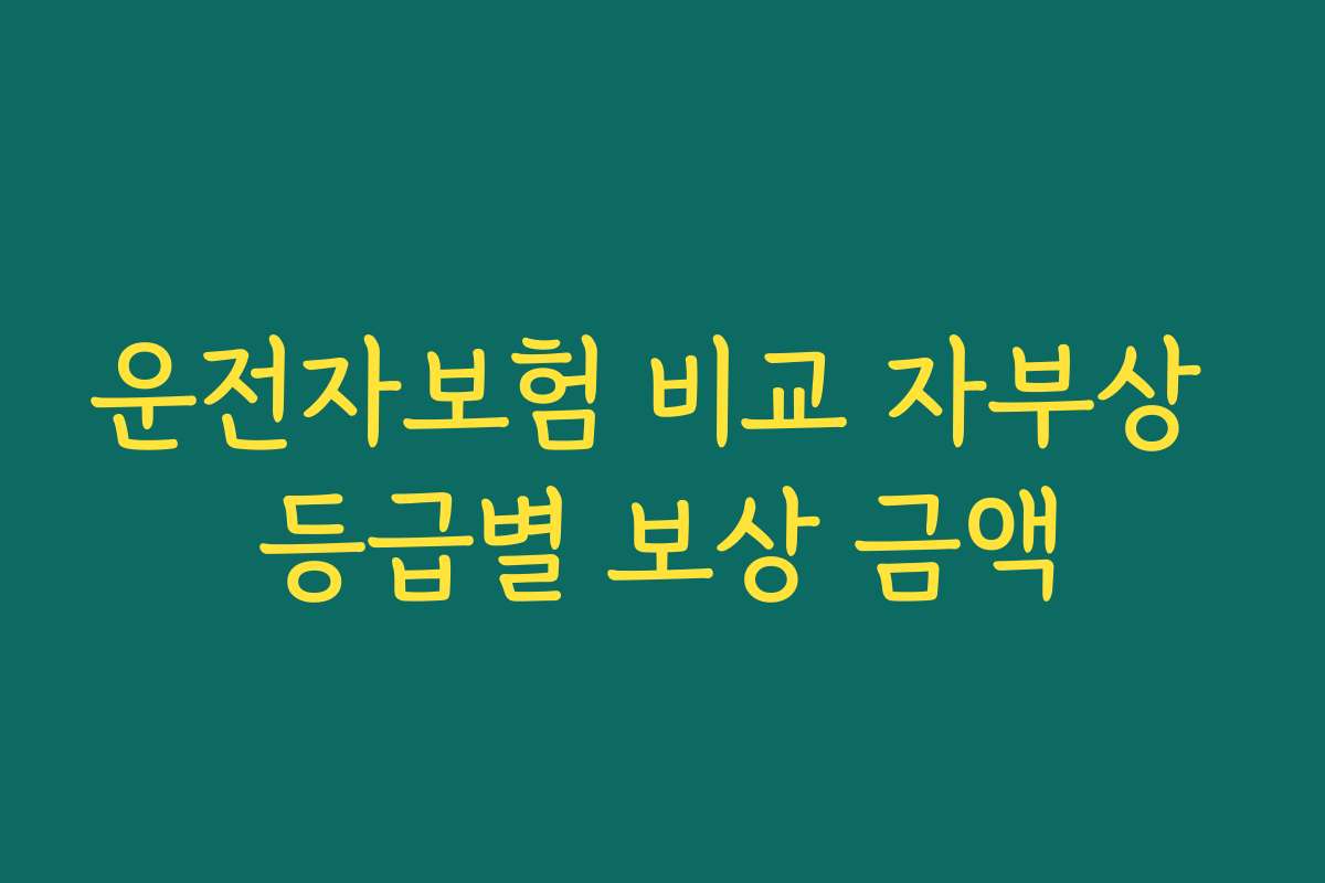 운전자보험 비교 자부상 등급별 보상 금액