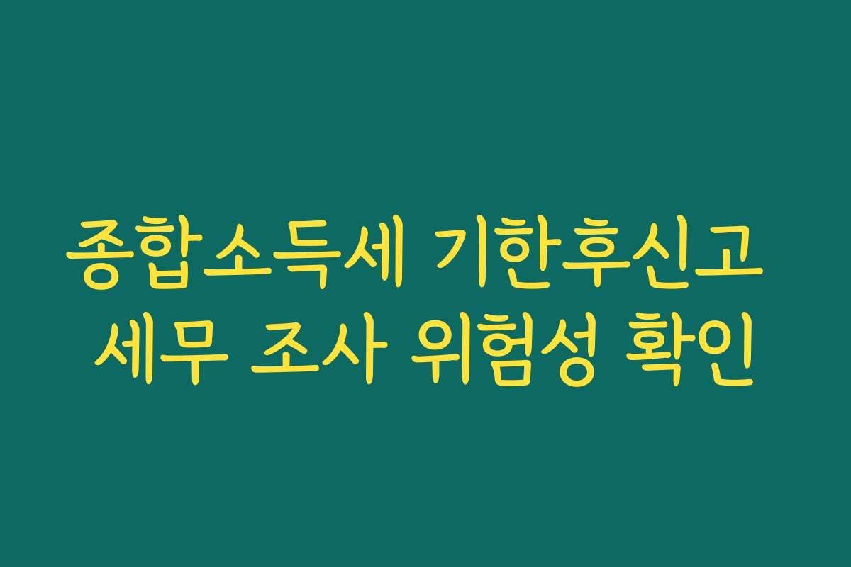 종합소득세 기한후신고 세무 조사 위험성 확인