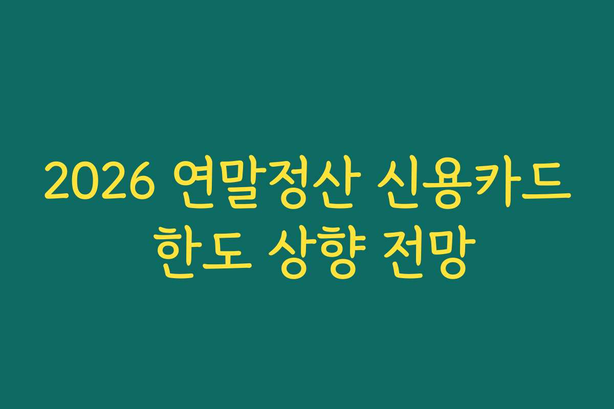 2026 연말정산 신용카드 한도 상향 전망