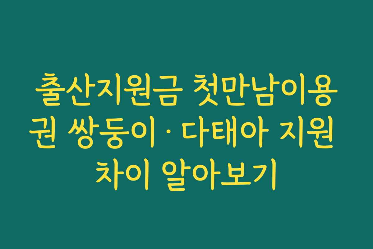 출산지원금 첫만남이용권 쌍둥이·다태아 지원 차이 알아보기