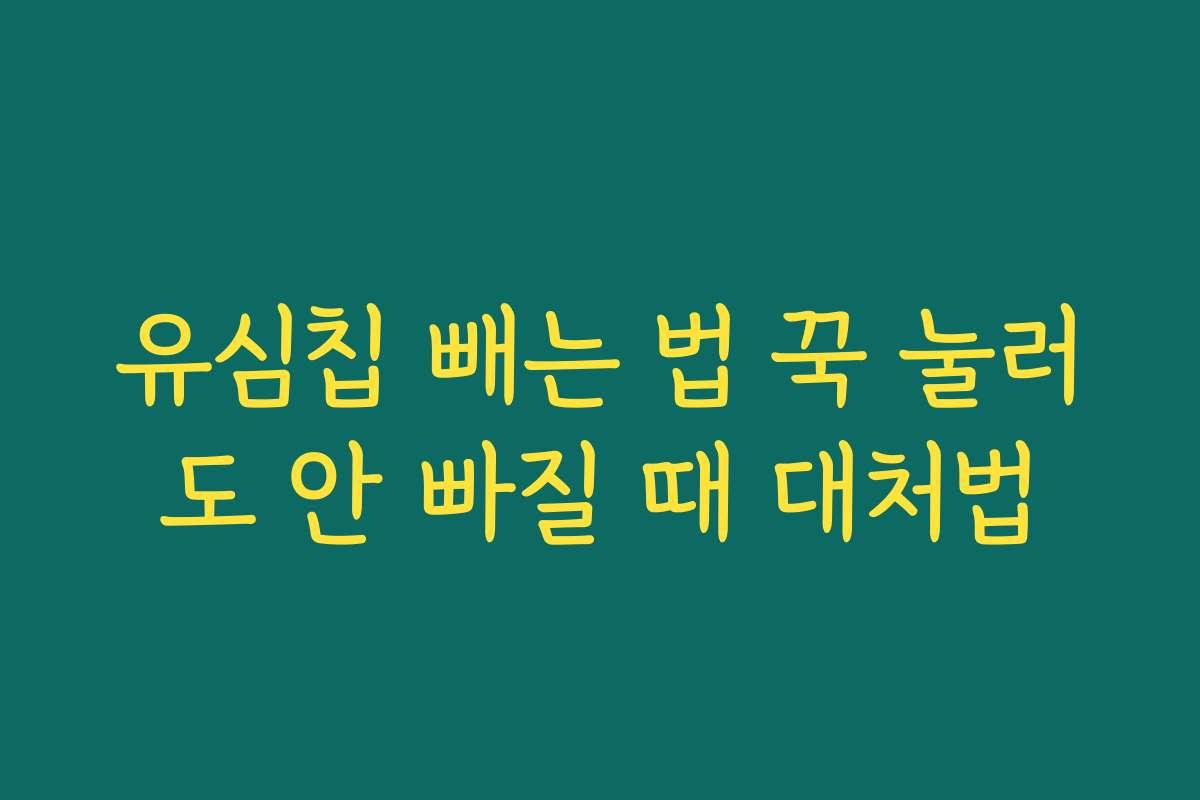 유심칩 빼는 법 꾹 눌러도 안 빠질 때 대처법