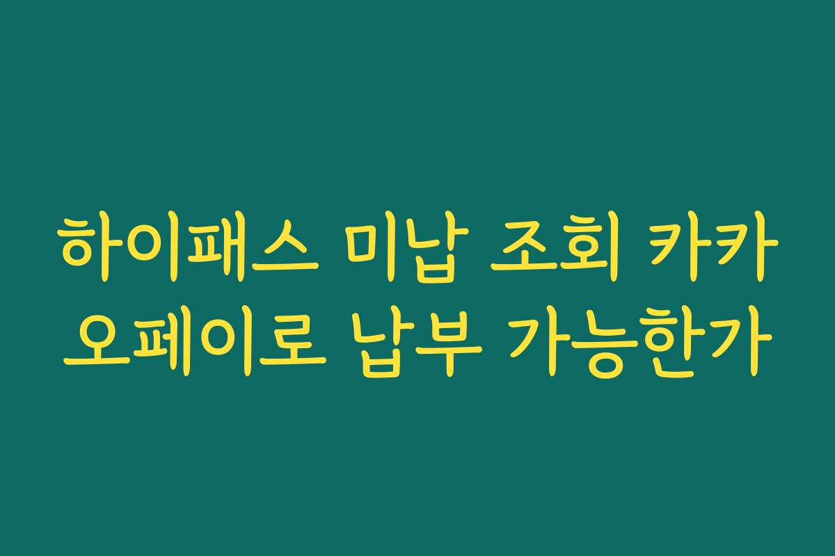 하이패스 미납 조회 카카오페이로 납부 가능한가