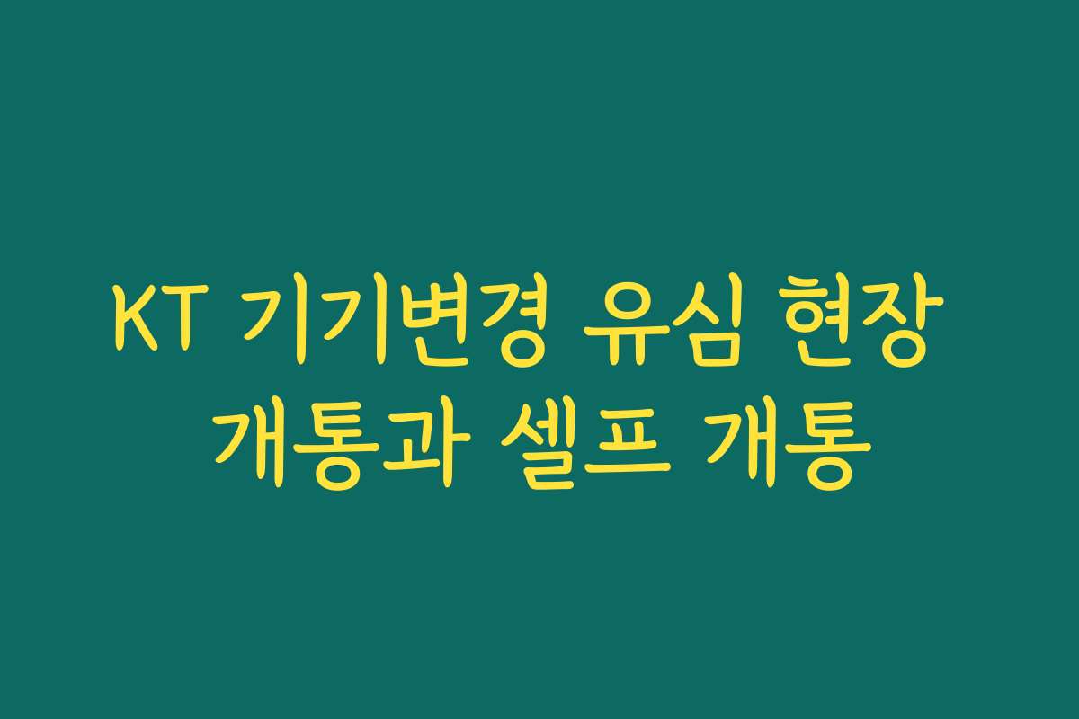 KT 기기변경 유심 현장 개통과 셀프 개통