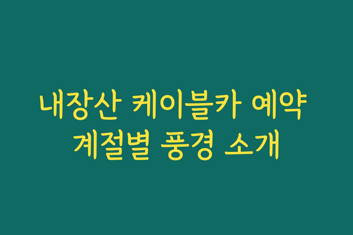 내장산 케이블카 예약 계절별 풍경 소개