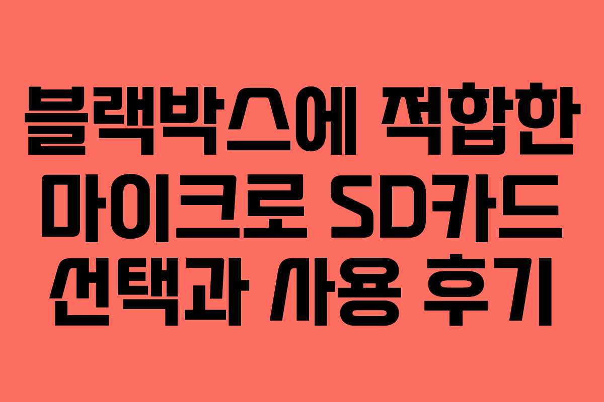 블랙박스에 적합한 마이크로 SD카드 선택과 사용 후기
