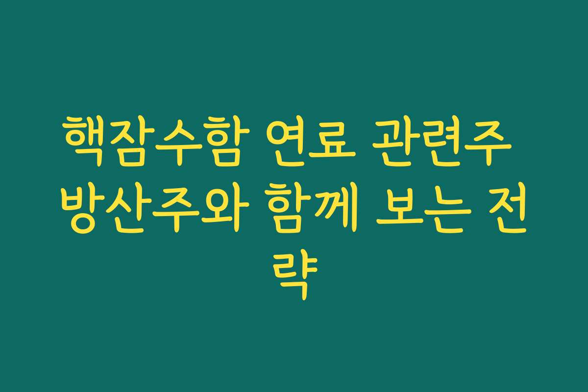 핵잠수함 연료 관련주 방산주와 함께 보는 전략