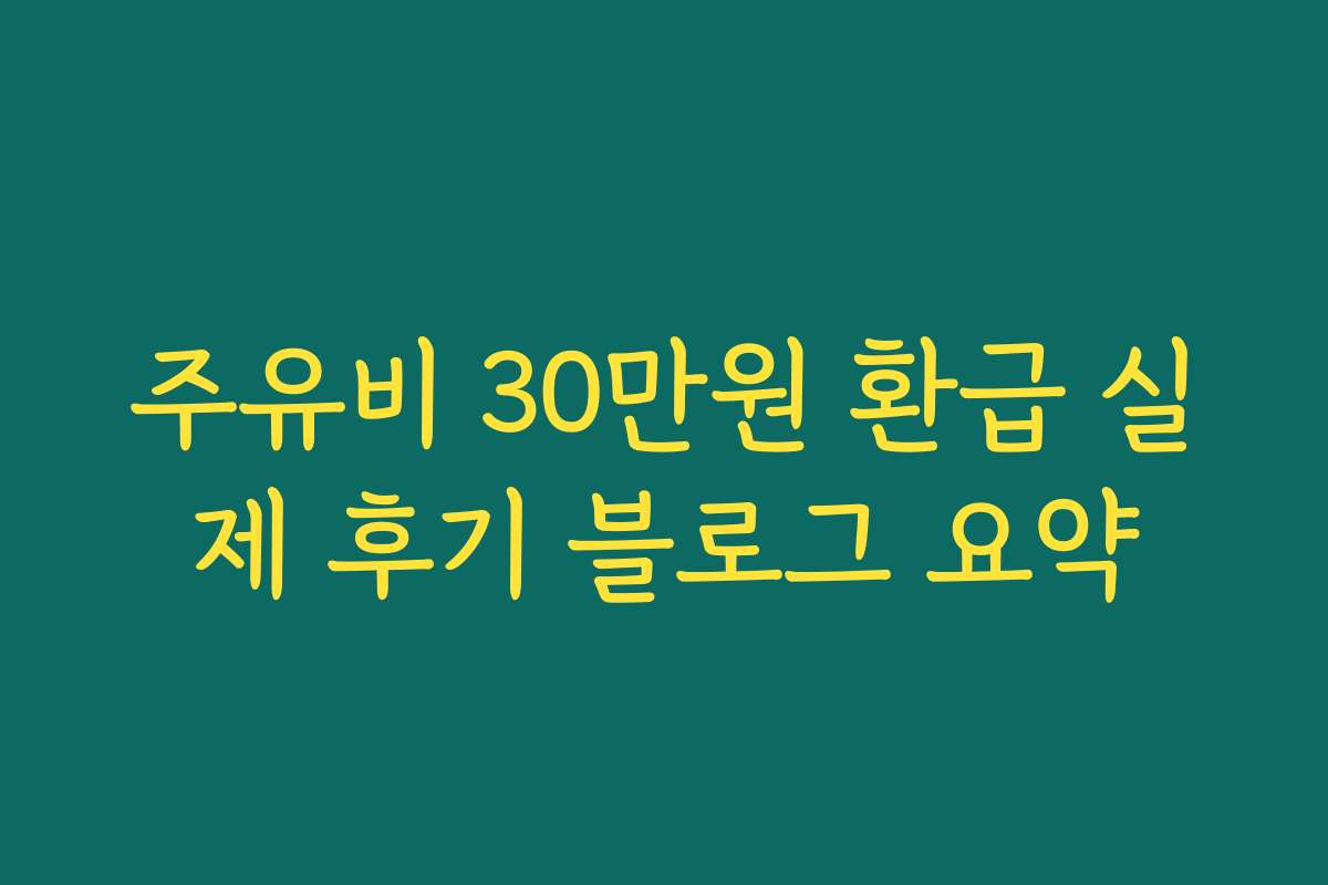 주유비 30만원 환급 실제 후기 블로그 요약