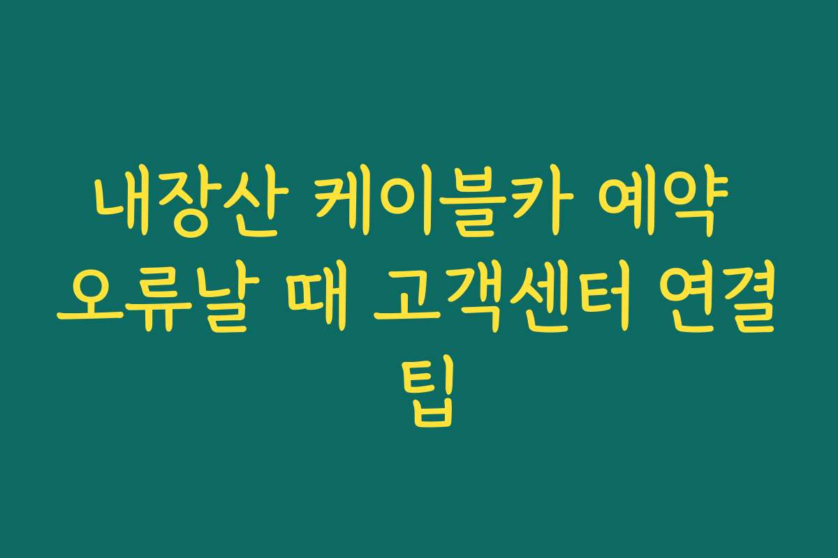 내장산 케이블카 예약 오류날 때 고객센터 연결 팁