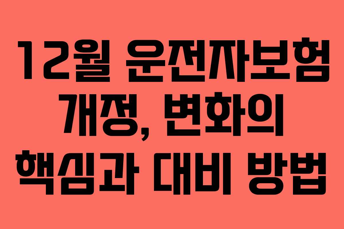 12월 운전자보험 개정, 변화의 핵심과 대비 방법