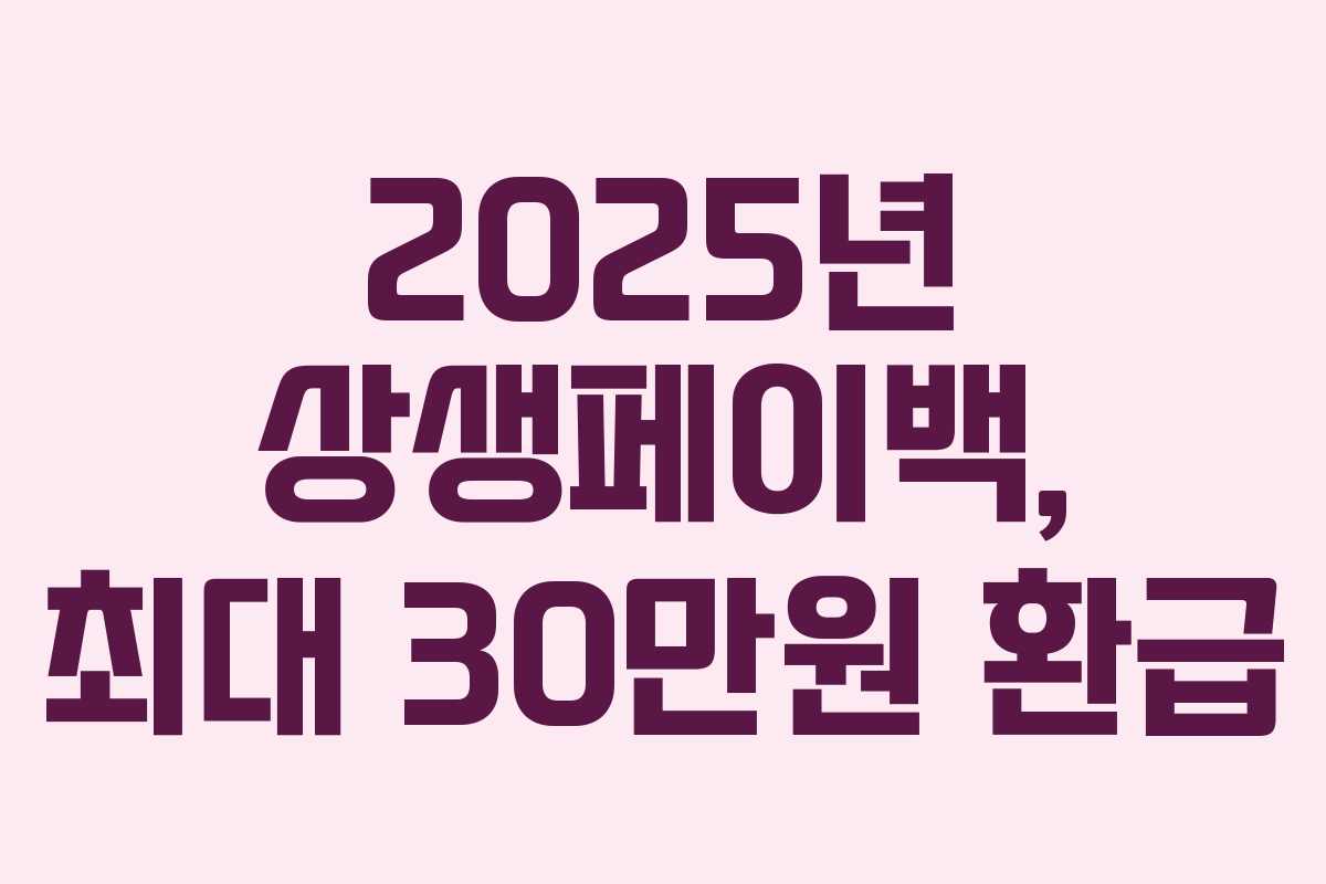 2025년 상생페이백, 최대 30만원 환급