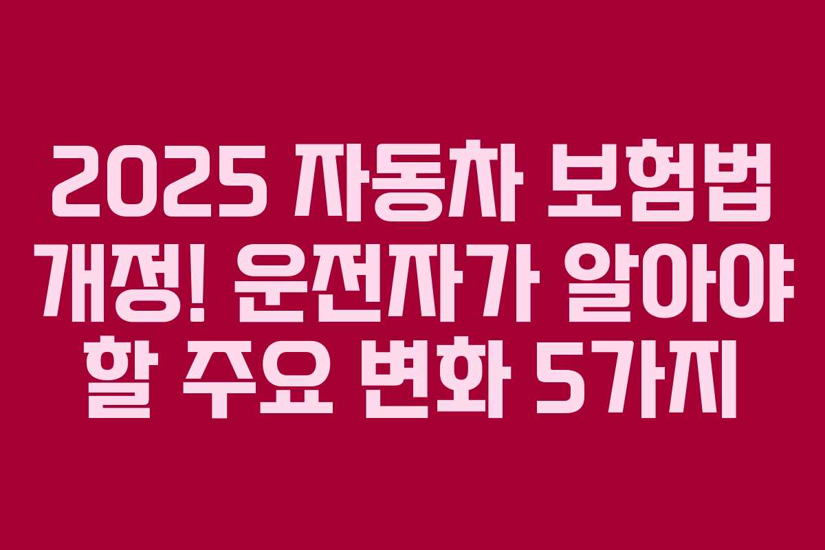 2025 자동차 보험법 개정! 운전자가 알아야 할 주요 변화 5가지